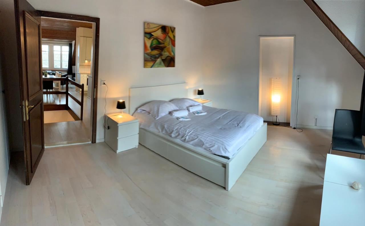 Luxury Duplex Vue Chateau Neuchâtel Esterno foto