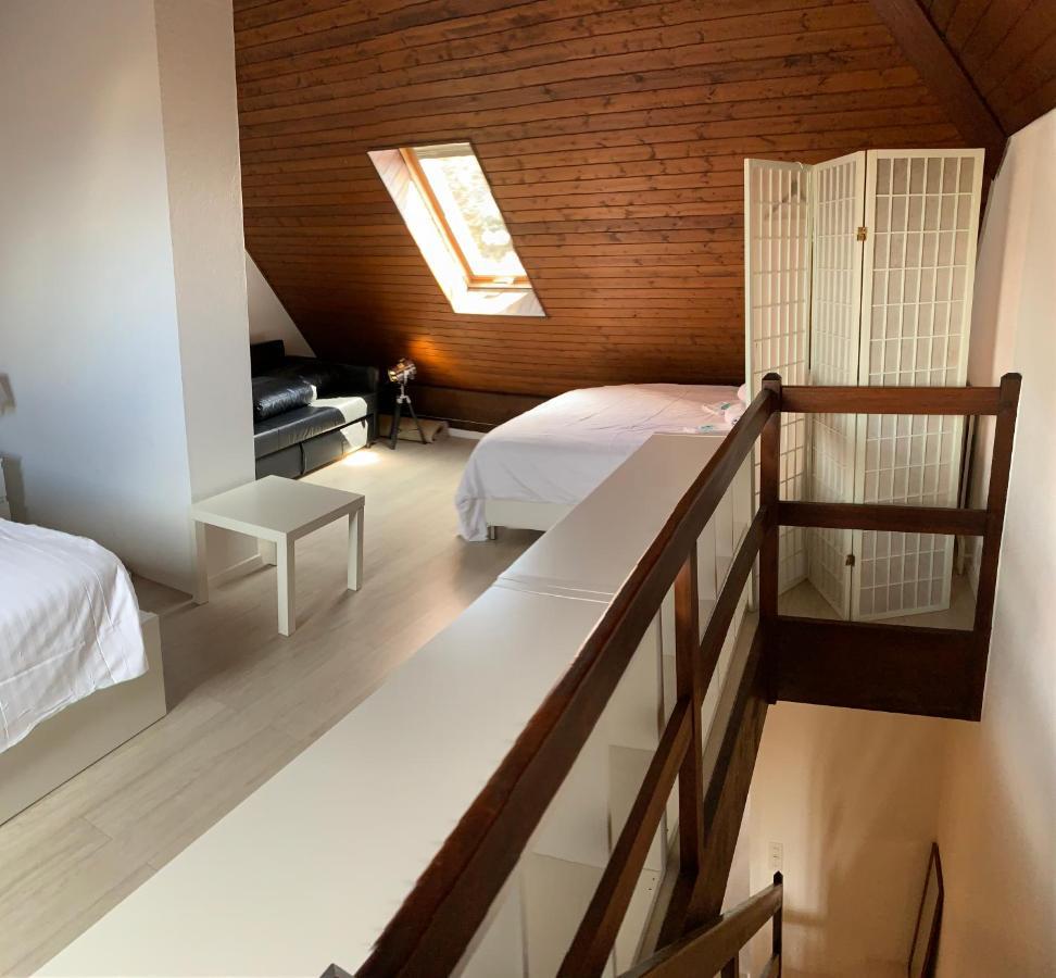 Luxury Duplex Vue Chateau Neuchâtel Esterno foto