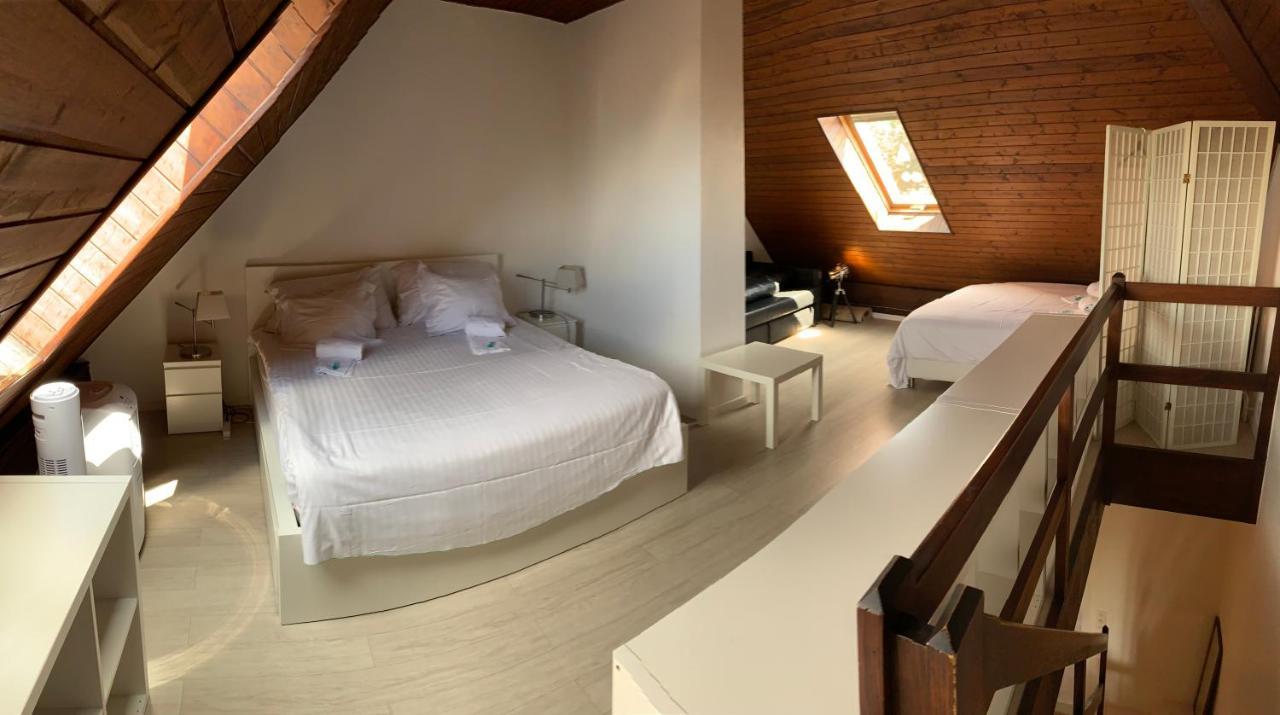 Luxury Duplex Vue Chateau Neuchâtel Esterno foto